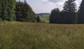 Tour Wandern La Bosse - La Bosse - Photo 4