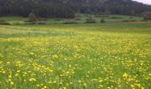 Randonnée A pied Hirschbach - Eschenfelden Rundweg 7 - Photo 1