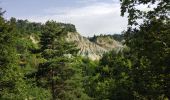 Trail Walking Rosières - Ravin de corbeuf  - Photo 7