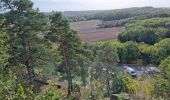 Tocht Stappen Chauffour-lès-Étréchy - Chauffour-lès-Etréchy - Coteau des Verts Galants - Photo 12