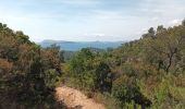 Trail Walking Le Pradet - Les 3 forts-la Garonne-21-04-23 - Photo 14