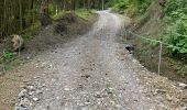 Tour Wandern Taninges - Balade autour de Beauregard - Photo 4