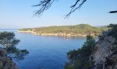 Trail Walking Bandol - Bandol - St Cyr par le sentier du littoral - Photo 13