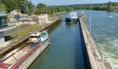 Tocht Stappen Saint-Fargeau-Ponthierry - Ponthierry les vives-eaux 02/06/2021 - Photo 2