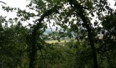 Trail Walking Penne-d'Agenais - La randonnée de Penne d'agenais- Lot et Garonne  - Photo 7