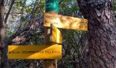 Trail Walking Anduze - Anduze  - Photo 2