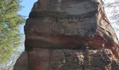 Percorso Marcia Obersteinbach - Obersteinbach - châteaux du Petit Arnsberg, du Wasigenstein et du Blumenstein - Photo 20