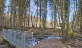 Tour Wandern Simmerath - A la découverte de Lammersdorf 🥾 - Photo 2