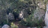 Trail Walking Corconne - CORCONNE  - Photo 1