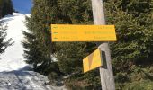 Excursión Raquetas de nieve Hauteluce - Les Saisies- Croix de Coste - Bizanne - 11.6km - 5h - Photo 7