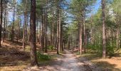 Randonnée Marche Bergen (NH) - Schoorl - Duinen - Photo 10