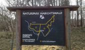 Tour Zu Fuß Volkmarsen - Rundwanderweg 4 ab Wanderparkplatz Erpetal des Naturparks Habichtswald - Photo 1