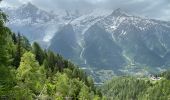 Trail Walking Les Houches - Chamonix :  l'aiguillette des Houches - Photo 5