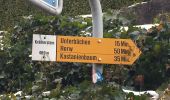 Tour Zu Fuß Horw - Seeben - Kastanienbaum - Photo 8
