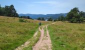 Tour Wandern Urbeis - Les Pierres tremblantes - Photo 19