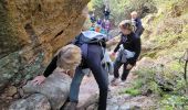 Tour Wandern Le Muy - La Combe Renaude et le Pic Rébéquier - Photo 3