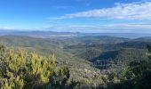 Trail Walking Roquebrune-sur-Argens - Le Peigros depuis le Bougnon - Photo 5