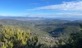 Percorso Marcia Roquebrune-sur-Argens - Le Peigros depuis le Bougnon - Photo 5