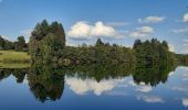 Tour Wandern Weismes - robertville . barrage . nez de napoléon.  reinhardstein . barrage . pont . robertville - Photo 1