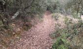 Trail On foot Bollène - 84 mines et grottes de st blaise bollene sans 3eme chapelle - Photo 20