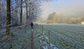 Tocht Stappen Profondeville - La promenade du bois de Nimes à Lustin - Profondeville - Photo 7