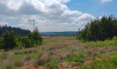 Trail Walking Waimes - petit tour en Brackvenn  - Photo 17