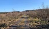 Randonnée Marche La Roche-en-Ardenne - Un petit tour dans les fagnes de la goutte en partant de Samree  - Photo 8