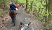 Trail Horseback riding Theux - Ninglinspo  - Photo 7