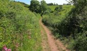 Tocht Te voet South Hams - Greenway Walk - Photo 5