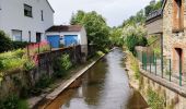 Tour Wandern Vielsalm - La nature en questions   - Photo 7