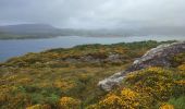 Excursión Senderismo West Cork - Bere Island - Photo 1