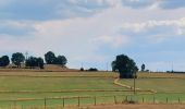 Trail Walking Thimister-Clermont - Along the Berwinne towards Val Dieu - Tourist ballad - Photo 16