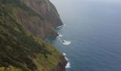 Tour Wandern Machico - Madère : du tunnel de Caniçal à Porto da Cruz - aller en bus - Photo 10