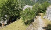 Trail Walking Gorges du Tarn Causses - Saint Chely 17 km - Photo 9
