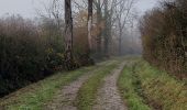 Tocht Stappen Philippeville - Jamagne 291122 - Photo 5