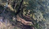 Trail Walking Navacelles - Les Aiguiéres au départ de Call - Photo 1