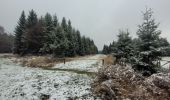 Tour Wandern Saint-Hubert - rando fourneau st michel 28-11-2023 - Photo 5