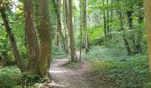 Trail Walking Maastricht - 2021-07-30_08h24m01_280 - Photo 5