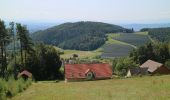 Percorso A piedi Weinitzen - Wanderweg 25 - Photo 3