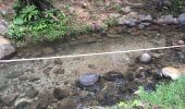 Trail Walking Petit-Bourg - Tambour la boucle - Photo 2