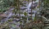 Trail  Sainte-Rose - Cascade de Bis - Photo 4