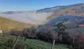 Excursión Bici de montaña Saint-Étienne - salvaris le mont plateau - Photo 2