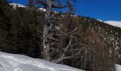 Excursión Raquetas de nieve Montgenèvre - balcon de montgenervre . mercredi - Photo 9