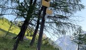 Trail Walking Pralognan-la-Vanoise - Pralognan - le petit Mont Blanc - Photo 19