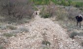 Excursión Senderismo Plan-d'Aups-Sainte-Baume - plan d aups - Photo 2