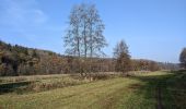 Percorso A piedi Žernov - naučná stezka Babiččino údolí - Photo 8