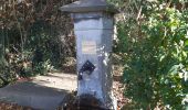 Randonnée Marche Esneux - tilff . bois des manants . ourthe  - Photo 10