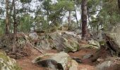Trail Walking Fontainebleau - Rochers d'Avon - Photo 5