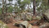 Excursión Senderismo Fontainebleau - Rochers d'Avon - Photo 5