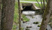 Trail Walking Saint-Hubert - ADEPS Saint Hubert - Photo 9